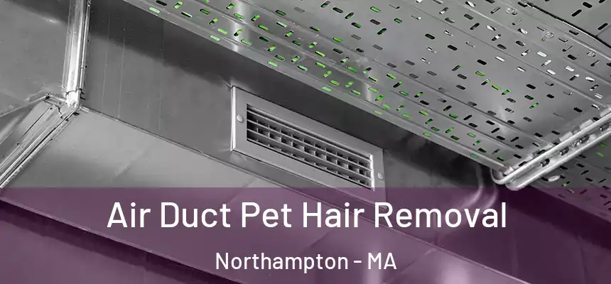  Air Duct Pet Hair Removal Northampton - MA