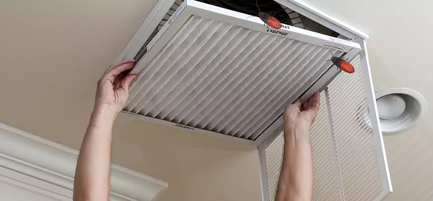 Preventive Cockroach-Proofing for Ducts in Northampton
