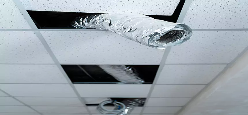 Affordable HVAC Sanitizing After Pest Removal in Northampton