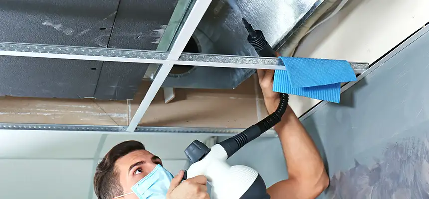 Our Air Duct Rodent Removal Services in Northampton, MA