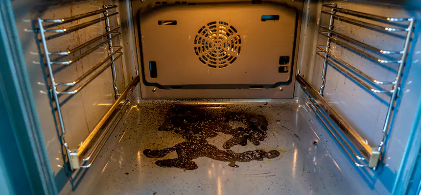 Our Dryer Vent Mold Cleaning Services in Northampton, MA