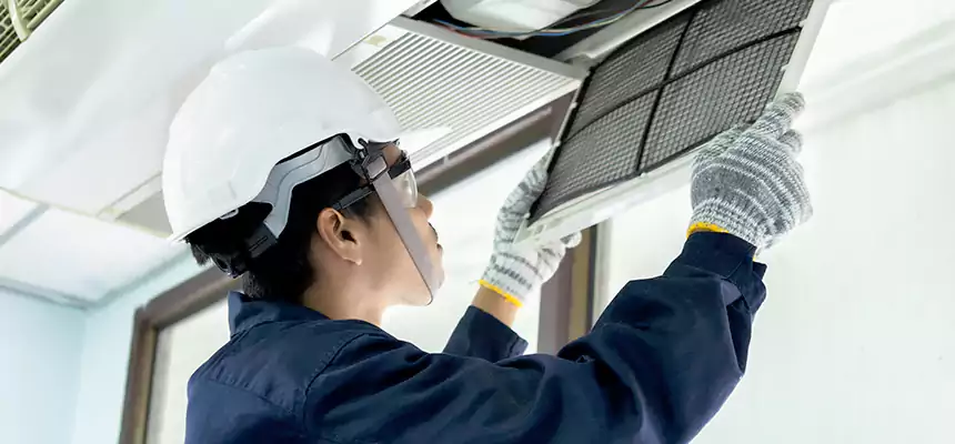 Our Mold & Mildew Removal from Air Ducts Services in Northampton, MA