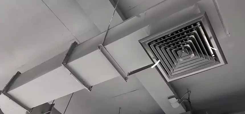 Our Pest Removal From Ducts Services in Northampton, MA