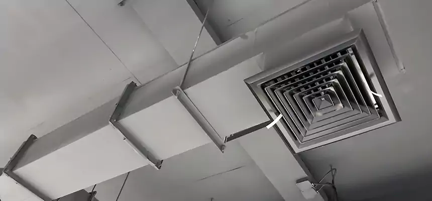 Our Rodent Droppings In Vents Services in Northampton, MA