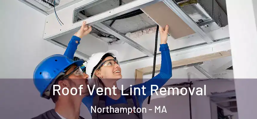 Roof Vent Lint Removal Northampton - MA
