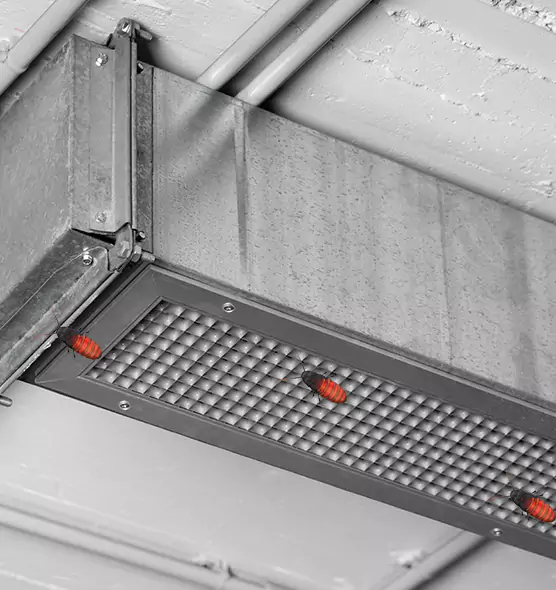 About Air Duct Cockroach Removal in Northampton, MA