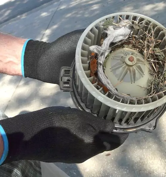 About Air Duct Mice Removal in Northampton, MA