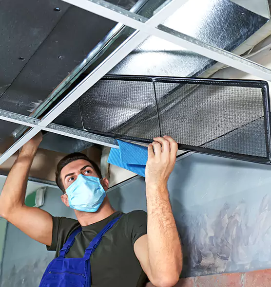 Professional Air Duct Pollen Cleaning in Northampton, MA