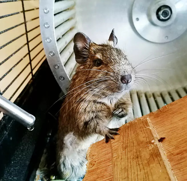 Why Homeowners & Businesses Trust Us Northampton, MA?