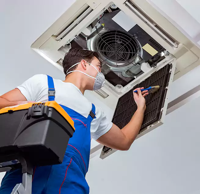 Why Homeowners & Businesses Trust Us in Northampton, MA