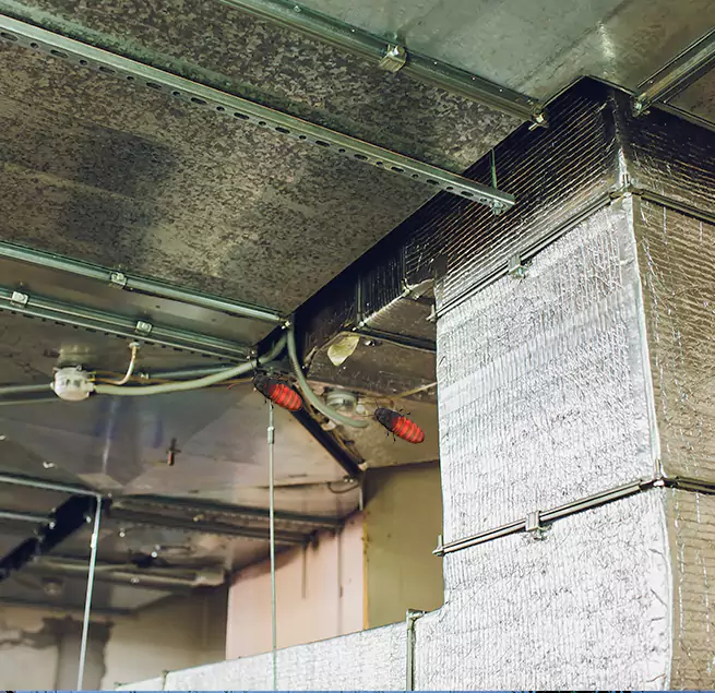 Why Homeowners & Businesses Trust Us Northampton, MA?